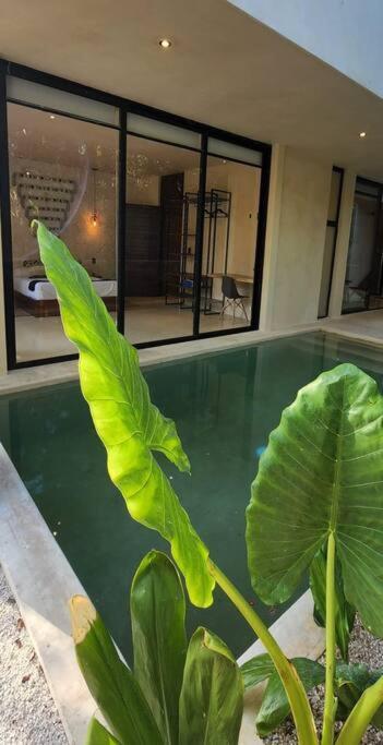 Apartment With Private Pool Tulum Chemuyil Екстериор снимка